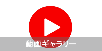 動画ギャラリー